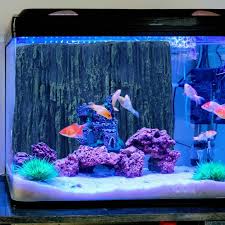 Image result for Terrarium Cling Background