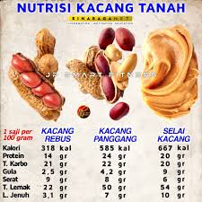JP SMART FITNESS - BANDING NUTRISI 28, NUTRISI KACANG TANAH. Kacang tanah  tergolong LEGUMES, segolongan yang sama dengan kacang kedelai, kacang  polong, kacang ijo, dan kacang bogor. APA ITU LEGUMES? LEGUMES adalah
