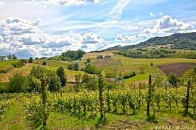 According to oiv (international organisation of vine and wine), italy was the biggest wine producer in the world in 2017. Castles And Vineyards In Emilia Romagna Ordinary Traveler