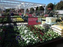 green goods lawn garden retailer lawn and garden garden center displays garden