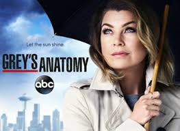 To connect with grey's anatomy, join facebook today. Grey S Anatomy Sezonul 13 Episodul 16 Online Filme Online Subtitrate