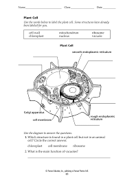 We did not find results for: Blank Animal Cell Diagram To Label Pdf 2020 2021 Fill And Sign Printable Template Online Us Legal Forms