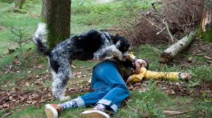 Video Jojo Der Held Folge 94 Tiere Bis Unters Dach Ard Das Erste