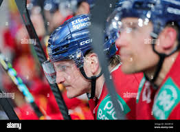 Laurin hi-res stock photography and images