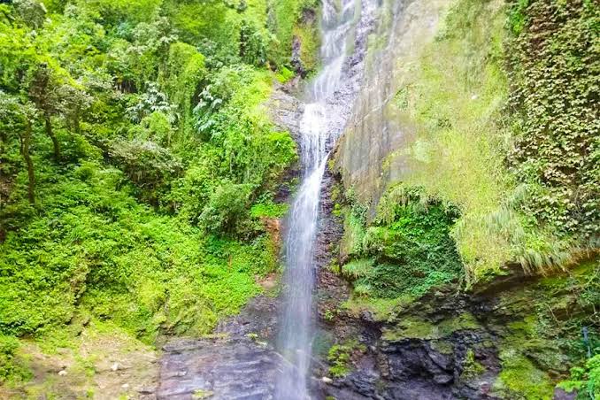 Chadwick Falls: Interesting Facts, How to Reach, Best Time to Visit