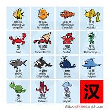 Mandarin Chinese Learning Chinese Language Words Learn Chinese