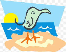 Kepopulerannya tidak hanya dikenal di indonesia saja, namun juga sampai ke mancanegara dan seluruh dunia. Burung Pantai Png Pngwing