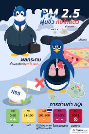 ฝ น pm 2 5 การออกกำล งกาย
