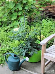 When you are first establishing your garden, check the soil each day for moisture by placing your finger in the ground near the base of the plant. How Often Do You Water Tomato Plants In Garden Beds Or Pots