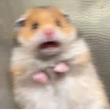 We did not find results for: 1080 X 1080 Memes Posted By Zoey Thompson