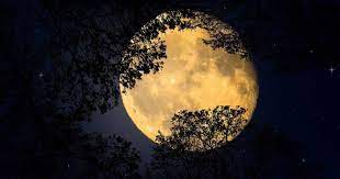 Manche menschen interessieren sich allein aus neugier dafür, wann neumond oder vollmond am. Wann Ist Vollmond 2021 Und Wann Ist Neumond We Go Wild