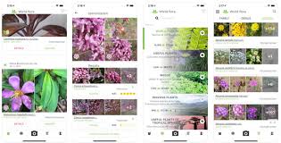 Plantnet is a popular plant id app in the community of french botanical organisations. Know The Nature More Closely And Deeply With Plant Identification Apps