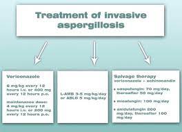 Allergic bronchopulmonary aspergillosis (abрa) is a chronic infectious allergic pulmonary disease caused by aspergillus. Invasive Aspergillosis In Transplant Recipients Intechopen