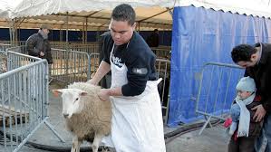 L'aid al adha, que l'on appelle aussi aid el kébir, au maroc est prévu pour très bientôt. Aid Et Covid Vendredi On Sacrifiera La Fete Plutot Que Le Mouton Le Soir Plus