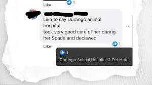 Petition · NAVE Veterinary Group, Please End Declawing In Your Las Vegas  Practices.