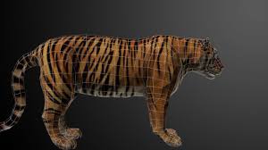 Sumatra Tiger Rigged 3d Model By Tamgraphic2017 Tiger Animated 3d Model Low Poly 3d Model Rigged And Ready For Vir Low Poly 3d Models 3d Model Low Poly Models