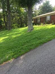 Oct 22, 2019 · slope. Dealing With Sloping Lawns Tips For Growing Grass On A Slope