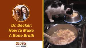 It can be made with beef bones, pork bones, chicken bones. Dr Becker Demonstrates How To Make A Bone Broth Youtube