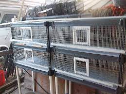 We did not find results for: Diy Quail Pen Plan Using Pre Made Shelving System Ss Prepper