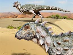 Image result for Dinophora
