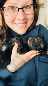 Willow (Yorkichon) and Wilber (Yorki)