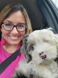 Lost cockapoo, 17 years old, deaf and blind