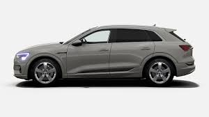 Image result for Siam Beige 2017 A1