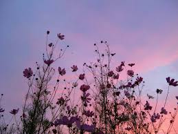 If you buy from a link, we m. Image About Cute In Flowers By Private User On We Heart It