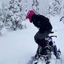 With tenor, maker of gif keyboard, add popular snowmobile animated gifs to your conversations. Funny Laugh Humor Hilarious Fails Gifivideo Humor Good Humor Minions Funny