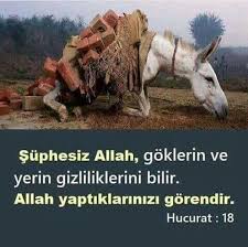 Fabe Adli Kullanicinin Kurani Kerim Ayetler Panosundaki Pin Hayvan Haklari Hayvan Sozleri Hayvanlar