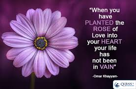 When You Have Planted The Rose Of Love Into Your Heart Your Life Has Not Been In Vain Omar Khayyam Life Quotes Islamic Quotes