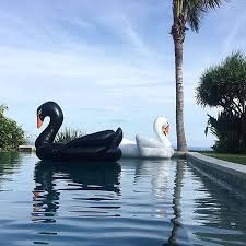 Black And White Swan The Coolest Pool Floats We Ve Ever Seen Cool Mom Picks Cool Pool Floats Swan Pool Float Black Swan Pool Float
