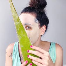 Diese maske kennt fast jeder, daher hier das einfachste und schnellste rezept: Aloe Vera Gesichtsmaske Diy Aloe Vera Maske Selber Machen