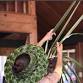 Pāpale Niu Workshop   || $85 event image