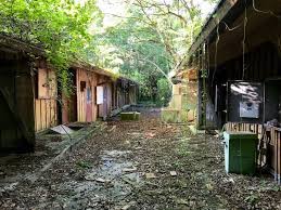 Have your best day ever at discovery island. Disney S Discovery Island Abandoned Florida