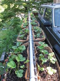 Fence Cover Ups Backyard Backyard Oasis Outdoor Landscaping