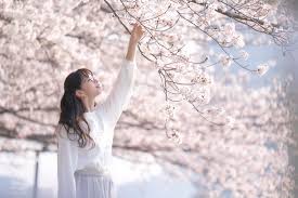 Her mother is japanese and her father is british. Ayami Nakajo As Miyuki In Snow Flower Pelikula Mania