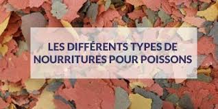 Les Differents Types De Nourriture Pour Poissons D Aquarium