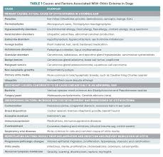 The Challenge Of Chronic Otitis In Dogs From Diagnosis To