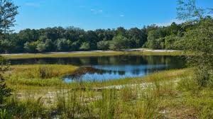 We did not find results for: Indian Lake State Forest Florida Hikes