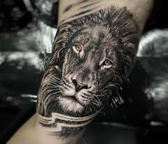 Find the biography, on the road schedule and latest tattoos by daniel bedoya. Lion Tattoo By Daniel Bedoya Photo 25801