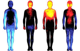 Services provided to customers and maintenance of approximately 4,300 miles of natural gas main is the primary function of 850 field and support employees, represented by the gas workers union, local 18007. Perceiving Other People 39 S Energy