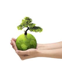 Ministrul energiei, andrei gerea, a declarat, marti, ca raul a mai departe, producatorii vand aceste certificate verzi catre furnizori, care sunt obligati prin lege sa le cumpere, scopul fiind ca o anumita parte din. Despre Certificate Verzi Aer Curat Si Bani In Vant Legestart