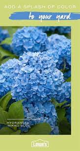 Pin On Organic Gardening