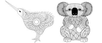 Koala coloring pages to print archives and koala coloring page. Kiwi And Koala Colouring Pages