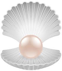 Clam With Pearl Transparent Png Clip Art Image In 2021 Art Images Clip Art Pearls