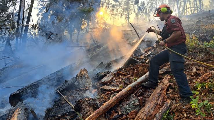 B.C. wildfire evacuees return home as Highway 97 reopens; Clinton mayor warns of devastated landscape, at least 100 homes destroyed