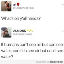 What S On Y All Minds If Humans Can T See Air Funny Pics Http Www Flaproductions Net Funny Pics Whats On Funny Deep Thoughts Tumblr Funny Stupid Funny
