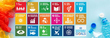 the sustainable development goals