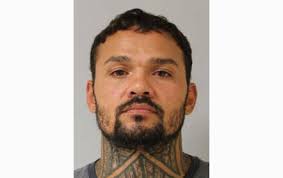 Isle creature could offer clues to human immune systems